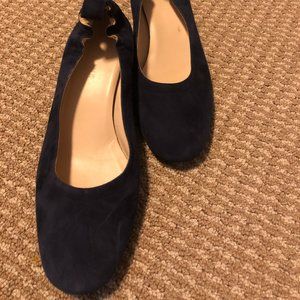 Everlane Blue Suede Shoes